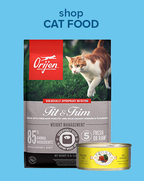 Cat Food